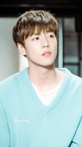 Lee Hyun Woo