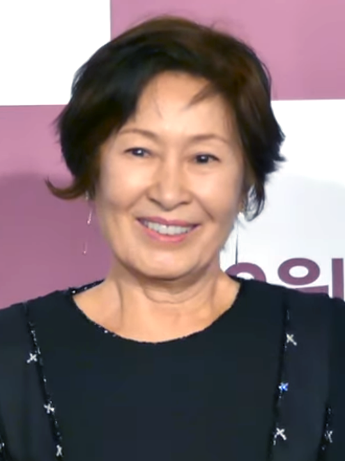 Kim Hye-ja (김혜자): la actriz coreana de Hasta que el cielo nos reúna